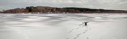 Ryb_24.02.2020-2.jpg
