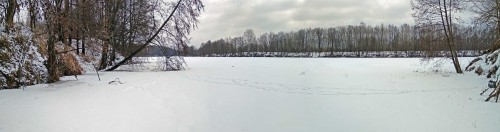 Ryb_24.02.2020-4.jpg