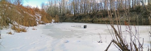 Ryb_26.02.2020-3.jpg