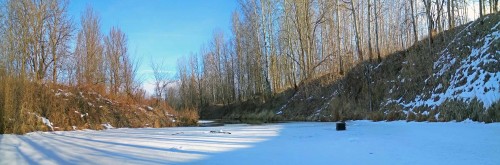 Ryb_26.02.2020-4.jpg