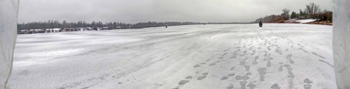 Ryb_27.02.2020-3.jpg