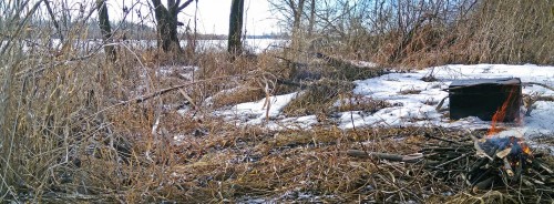 Ryb_29.02.2020-4.jpg