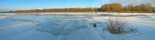 Ryb_29.02.2020-5.jpg
