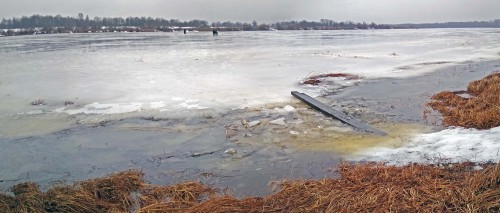 Ryb_02.03.2020-1.jpg