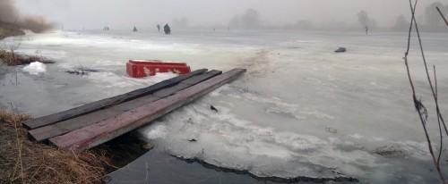 Ryb_04.03.2020-1.jpg