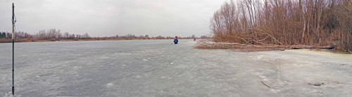 Ryb_07.03.2020-2.jpg