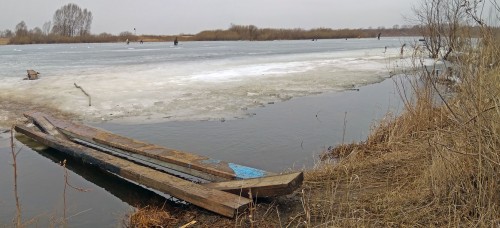 Ryb_07.03.2020-4.jpg