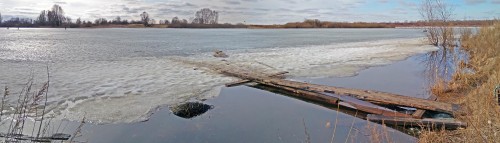 Ryb_09.03.2020-1.jpg