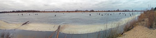 Ryb_09.03.2020-4.jpg