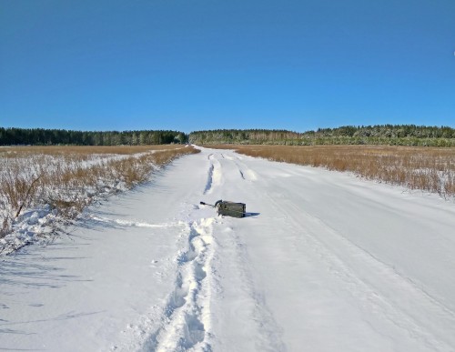 Ryb_16.03.2020-1.jpg