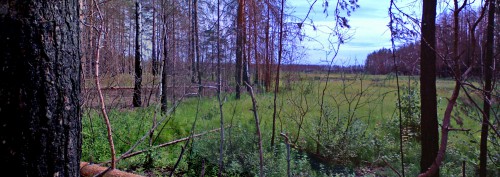 Les19082011-9.jpg