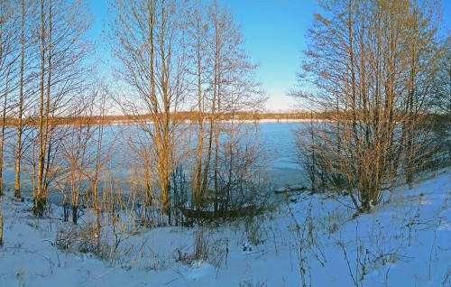 Ryb_16.03.2020-3.jpg