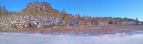 Ryb_16.03.2020-5.jpg