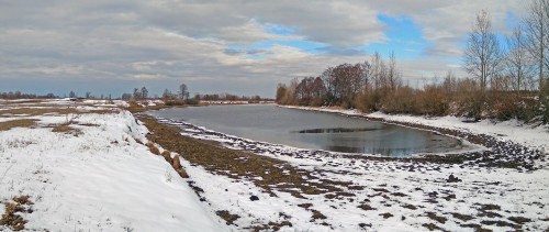 Ryb_17.03.2020-5.jpg