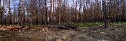 Les19082011-5a.jpg