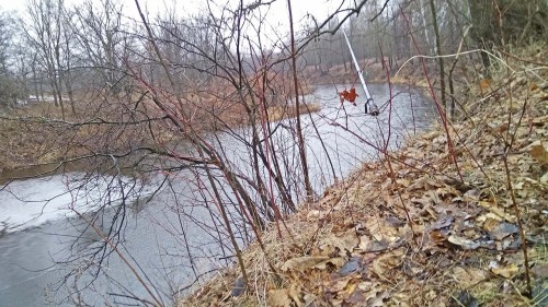 Ryb_19.03.2020-6.jpg