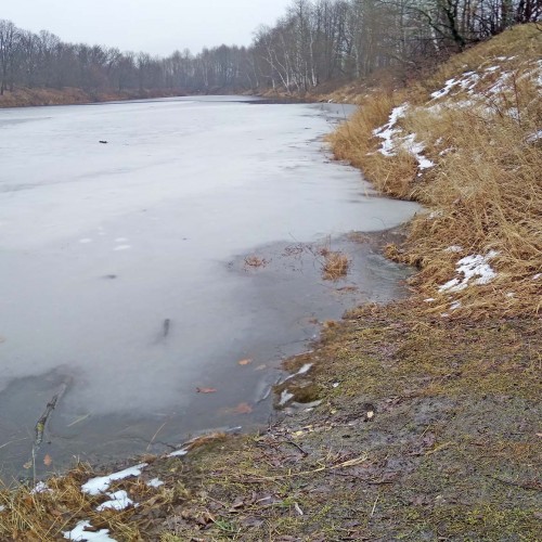 Ryb_19.03.2020-7.jpg