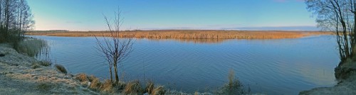 Ryb_20.03.2020-2.jpg