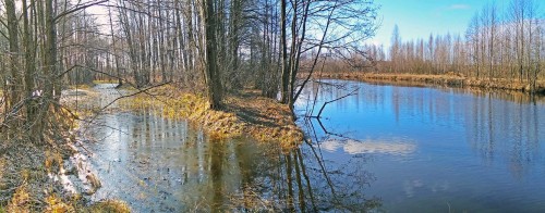 Ryb_20.03.2020-5.jpg