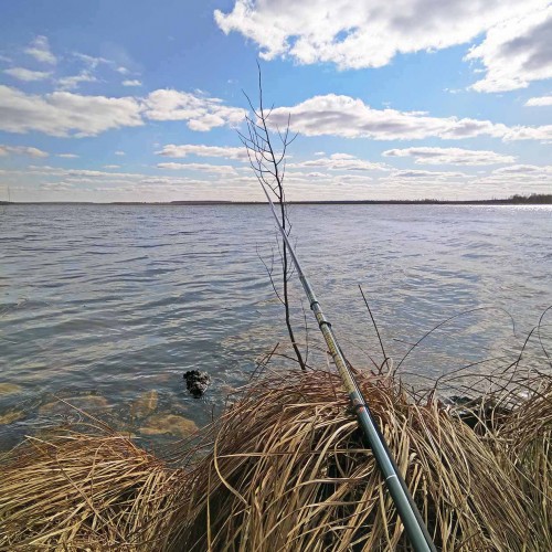 Ryb_22.03.2020-1.jpg