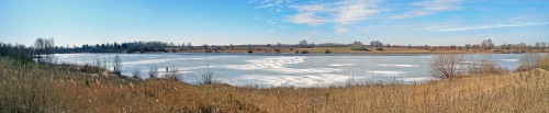 Ryb_25.03.2020-2.jpg