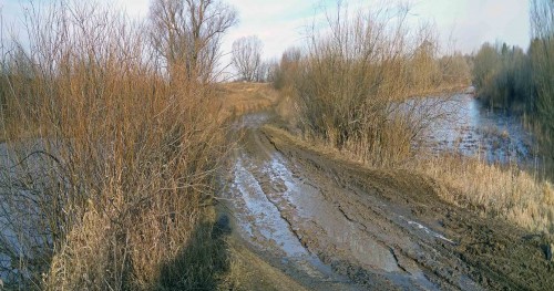 Ryb_26.03.2020-4.jpg