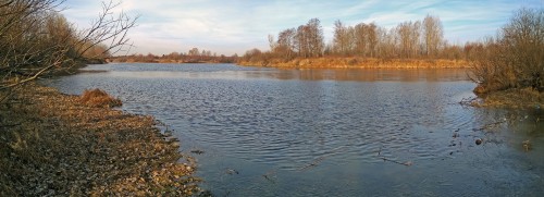 Ryb_26.03.2020-5.jpg