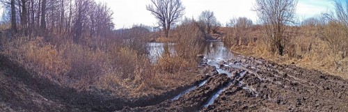Ryb_26.03.2020-6.jpg