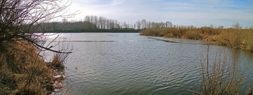 Ryb_26.03.2020-7.jpg