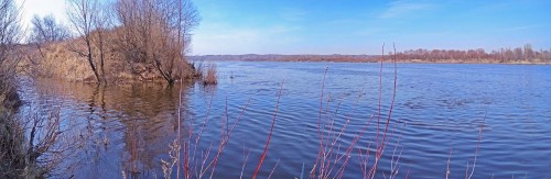 Ryb_26.03.2020-8.jpg