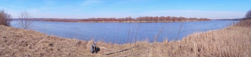 Ryb_26.03.2020-9.jpg