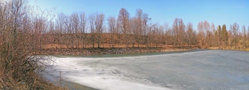 Ryb_26.03.2020-11.jpg