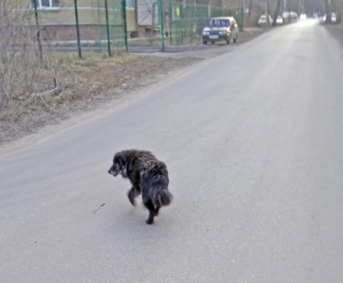 Ryb_26.03.2020-14.jpg