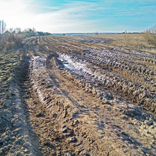 Ryb_27.03.2020-1.jpg