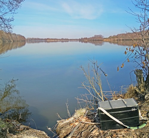 Ryb_27.03.2020-2.jpg