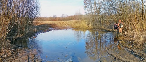 Ryb_27.03.2020-3.jpg