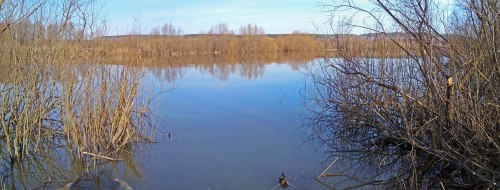 Ryb_27.03.2020-4.jpg
