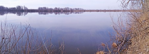 Ryb_27.03.2020-5.jpg
