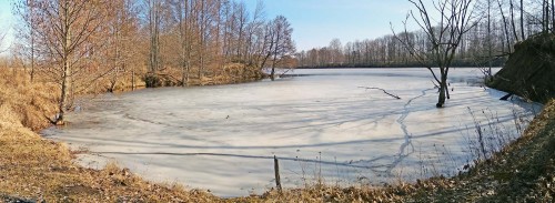 Ryb_27.03.2020-6.jpg