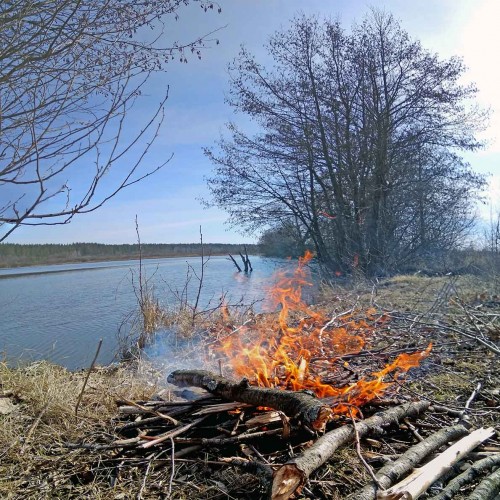 Ryb_27.03.2020-7.jpg