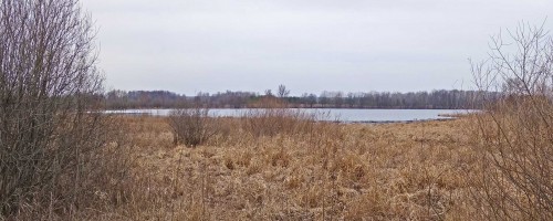 Ryb_30.03.2020-1.jpg