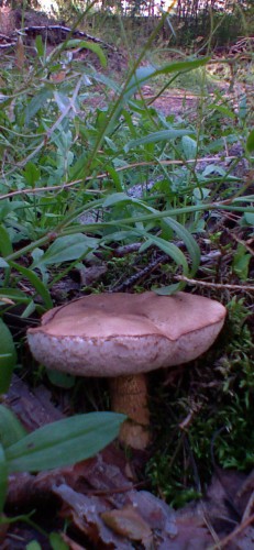 Les_23082011-9.jpg