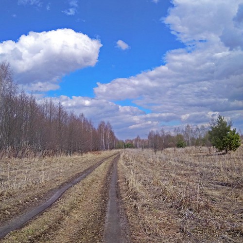 Ryb_03.04.2020-1.jpg