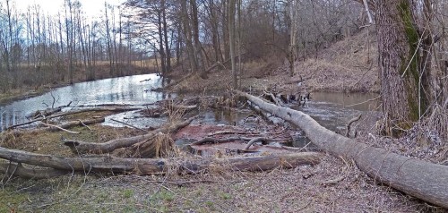 Ryb_03.04.2020-2.jpg
