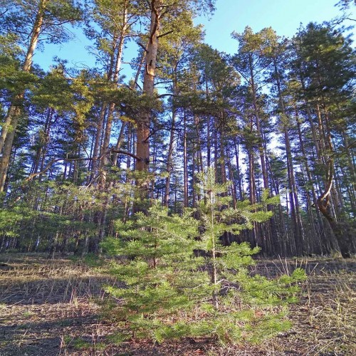 Ryb_05.04.2020-1.jpg