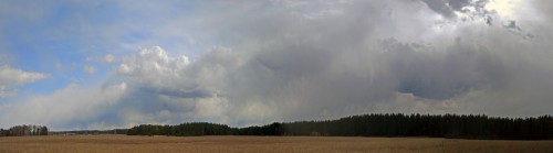 Ryb_05.04.2020-2.jpg
