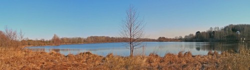 Ryb_05.04.2020-3.jpg