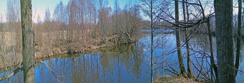 Ryb_05.04.2020-5.jpg