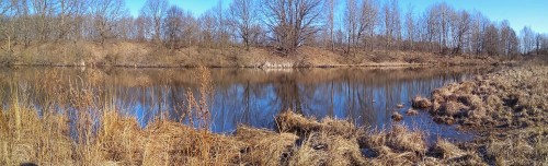 Ryb_07.04.2020-6.jpg