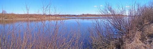 Ryb_07.04.2020-8.jpg